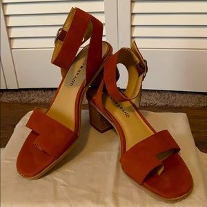 Lucky Suede Block Heel Sandal